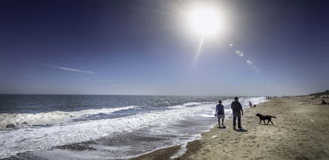 Wintertononseabeachno.1 1