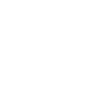 Phoenix Rise