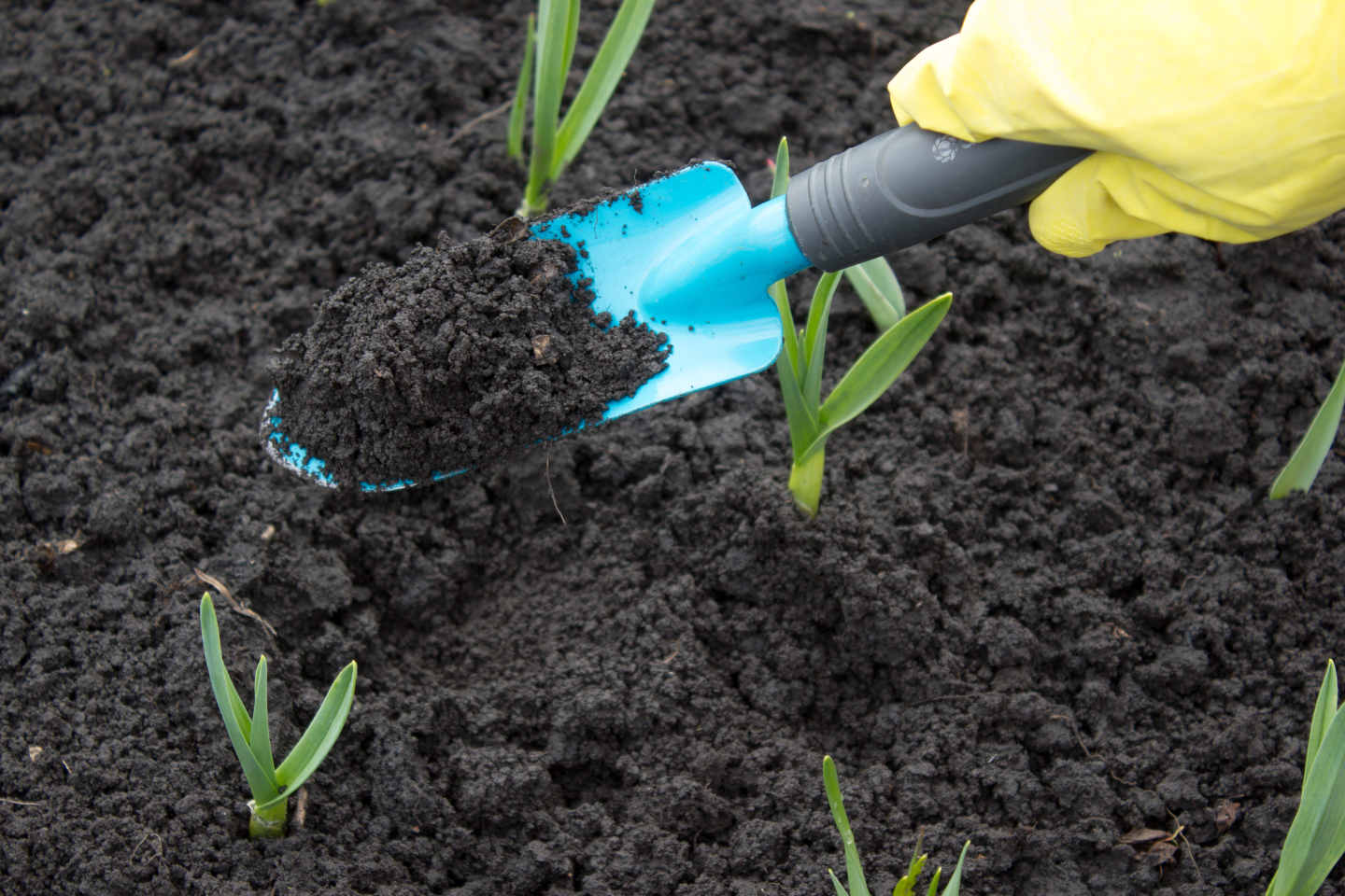 Spring Gardening Topsoil