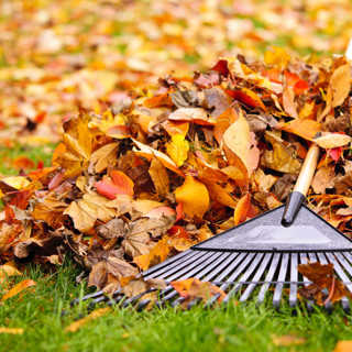 Winter Gardening 3