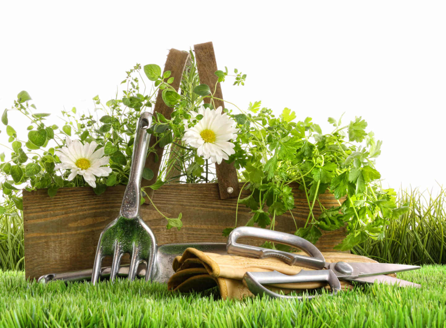 Spring Gardening Tools