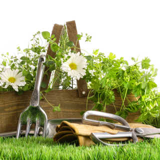 Spring Gardening Tools