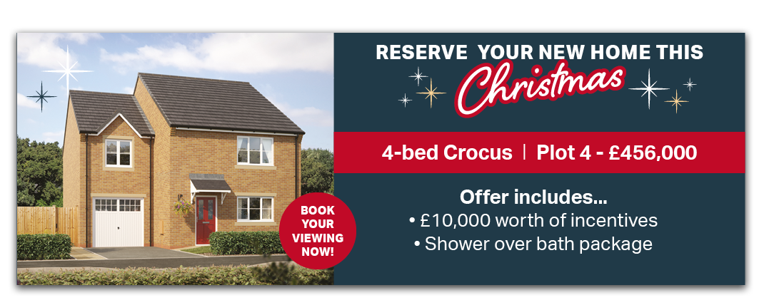 DurleighView[Plot4]WebsiteOfferBanner_ReserveThisChristmas[1026].png