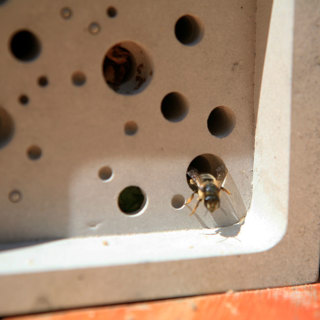 Images Supplied By Green And Blue Bee Brick™ 1