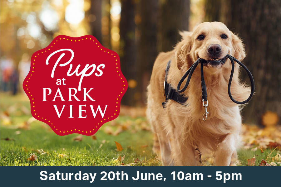 ParkView_EmailHeader_PupsAtParkView[0626].jpg (1)