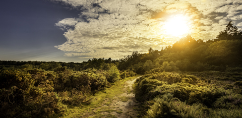 Holt Country Park Sunset