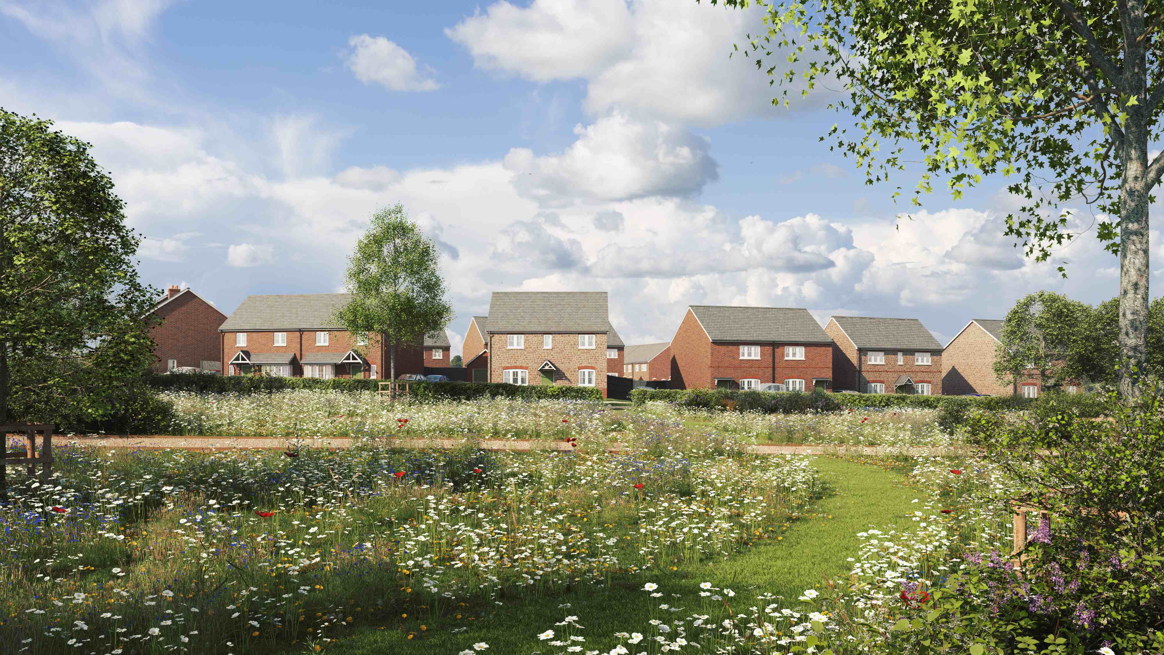 Station Fields, Williton