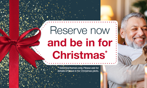 Lovellwebsitebanner Christmas251600x500norfolk (002) (1)