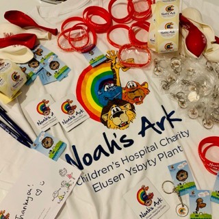 3 From Alicia Noah's Ark Merchandise Was Sold To Help Raise Money For The Charity