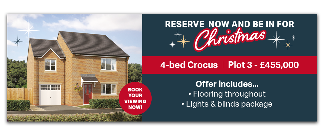 DurleighView[Plot3]WebsiteOfferBanner_MoveInForChristmas2026.png