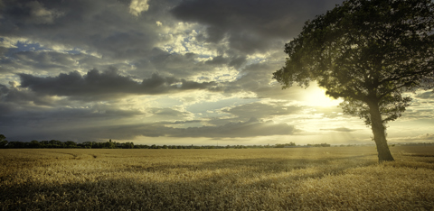 Local Countryside Walks