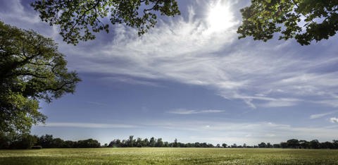 Localfieldsno.2 1