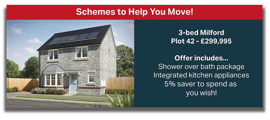 Augustus Grange Plot 42 Schemes 2026