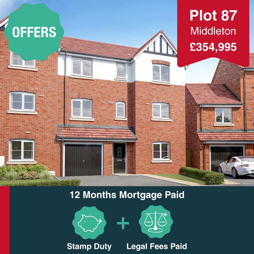 Stockwood V2 (5)