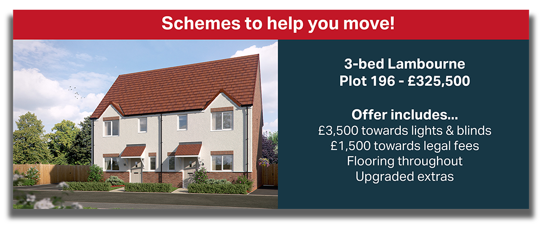 Drummond Park Plot 196 Shcemes 2026