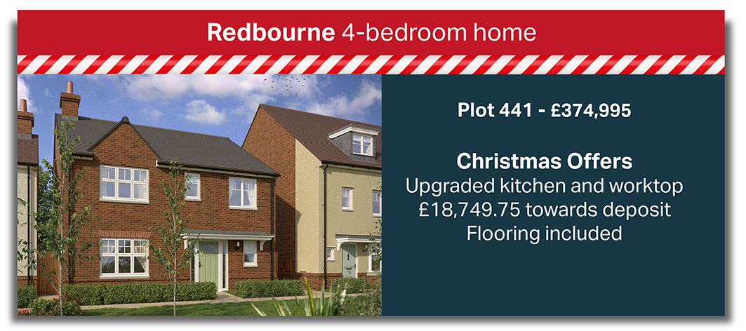 Plot 441