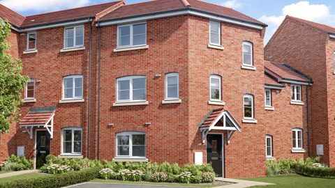 Regan Plot 81