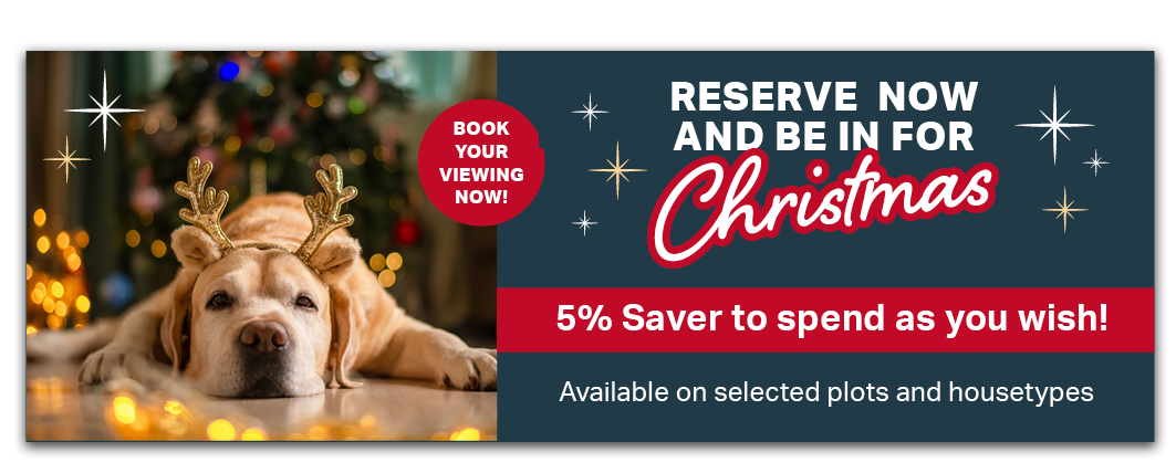 LovellWales_LovellWebsiteOfferBanner_MoveInForChristmas2026_Generic.png