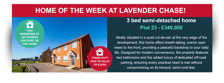 Lavender Chase Home of the week .png